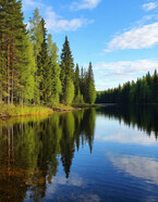 Карельский вояж . Сказка.