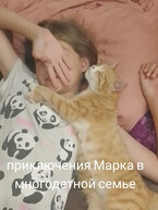 Приключения Марка в многодетной семье.