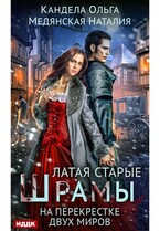 Латая старые шрамы. Книга 2. На перекрестке миров
