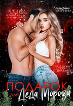 Подарок для Деда Мороза