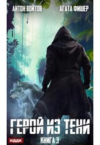 Герой из тени. Книга 3
