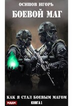 Боевой маг. Книга 1. Как я стал боевым магом