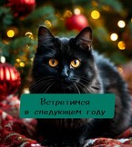 Встретимся в следующем году
