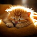 Сложности инициации и весеннее солнышко