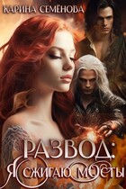 Развод: я сжигаю мосты
