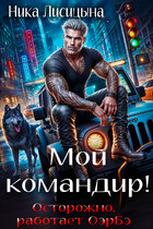 Мой командир!