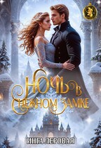 Ночь в снежном замке