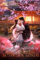 Леди для Генерала, или Защитник без недостатков