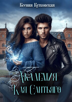 Академия Кая Сантьяго