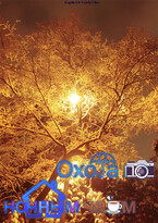 Охота по ночным чаям