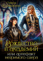 Рождество в академии или артефакт незримого озера