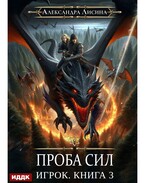 Игрок. Книга 3. Проба сил