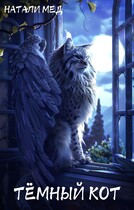 Тёмный кот