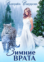 Зимние врата