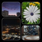 Обрывки жизни