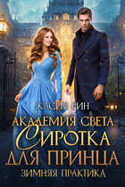 Академия света. Сиротка для принца. Зимняя практика