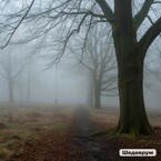 Настоящий клад.