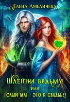 Шлепни ведьму! или Голый маг — это к свадьбе!