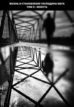 Жизнь и становление господина мага. Книга II — Юность