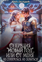 Операция «Новый год», или От меня не спрятаться, не скрыться!