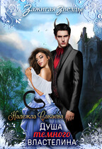 Душа темного властелина, или новогодний переполох в Рейлине