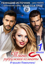 Тайна рубрумовой комнаты. Книга 1. И пришёл Повелитель!