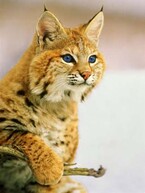 Полукровка  Часть вторая