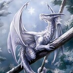 Лунный свет, отраженный в тени