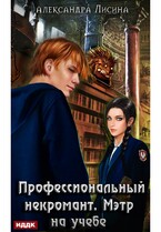 Профессиональный некромант. Книга 2. Мэтр на учебе