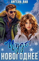Новогоднее  чудо