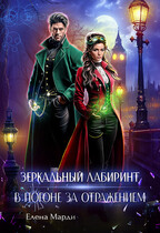 Зеркальный лабиринт. В погоне за отражением