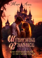 Шпионы в замке, или Поймай меня, если сможешь!