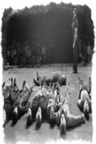 Волшебник на гастролях